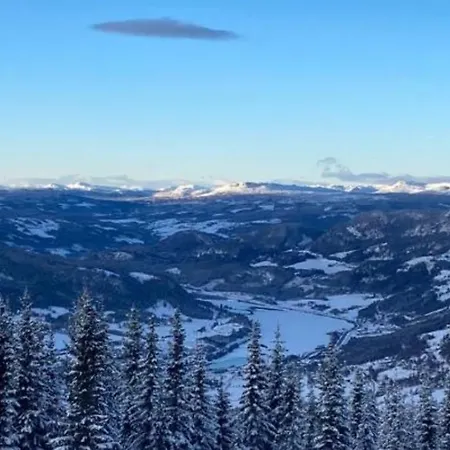 Frysiahouse アパート