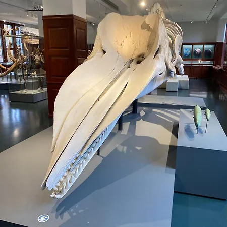 アパート Frysiahouse *