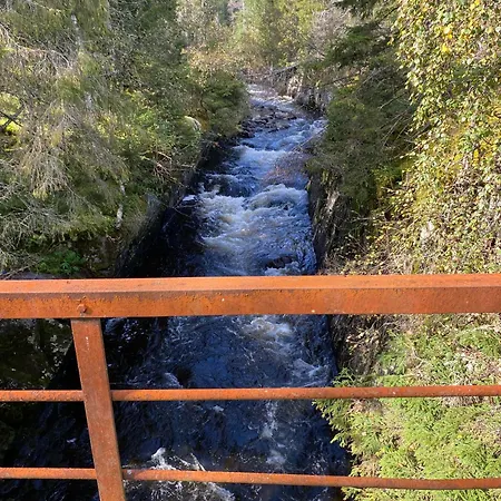 Frysiahouse アパート