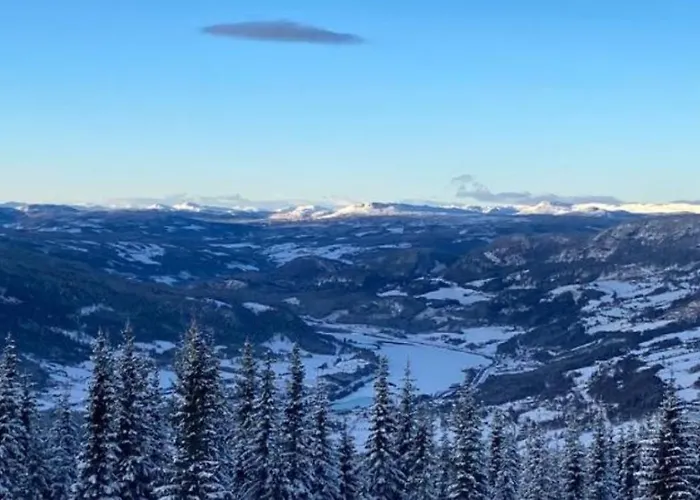 Frysiahouse Appartement