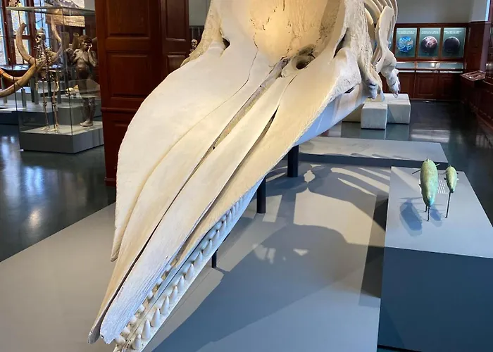 Appartement Frysiahouse *