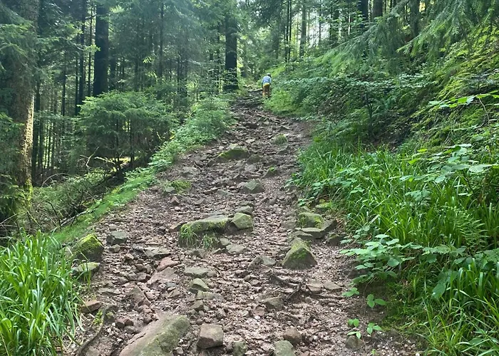 Frysiahouse Appartement Lillehammer