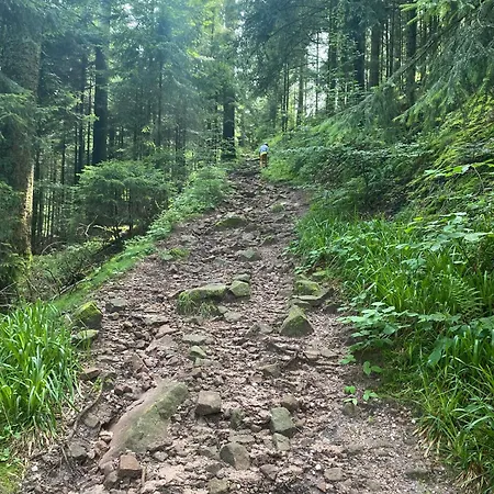 Frysiahouse Appartement Lillehammer